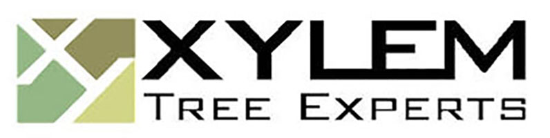 Xylem-Tree-Experts
